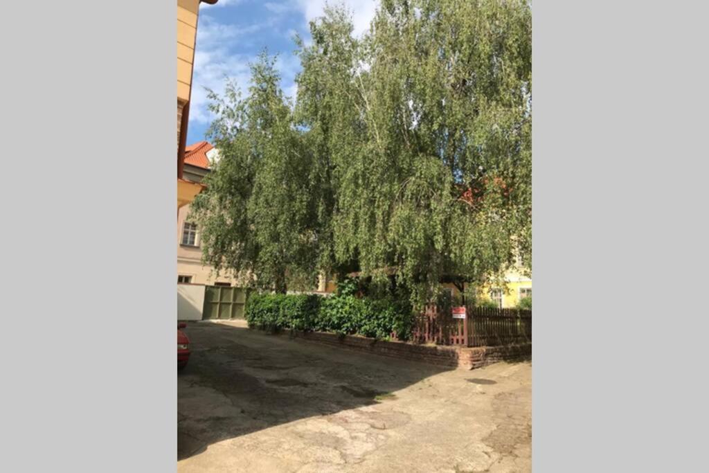 Rose Apartments / Romantic & Cozy / City Center Прага Екстериор снимка