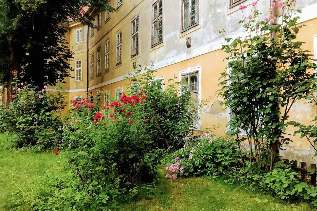 Rose Apartments / Romantic & Cozy / City Center Прага Екстериор снимка